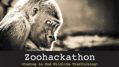 Zoohackathon 2020 avec le Free Spirit fondation & Ambassade des Etats-Unis