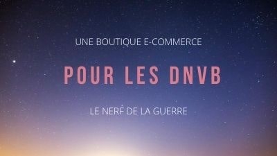 La boutique e-commerce, le nerf de la guerre pour les DNVB